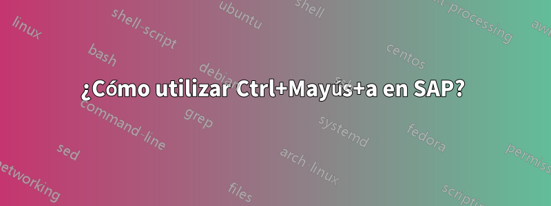 ¿Cómo utilizar Ctrl+Mayús+a en SAP?