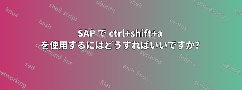 SAP で ctrl+shift+a を使用するにはどうすればいいですか?