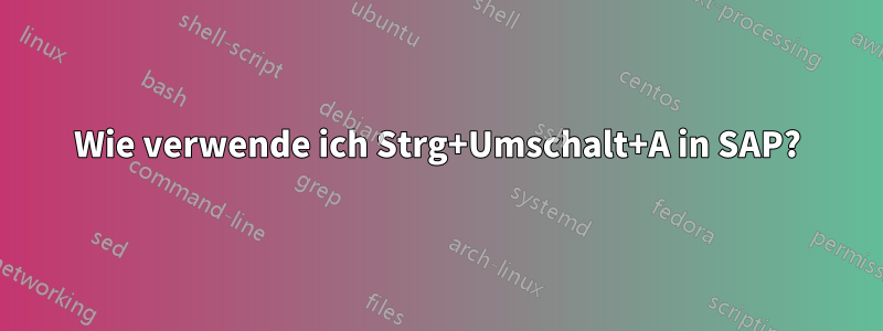 Wie verwende ich Strg+Umschalt+A in SAP?