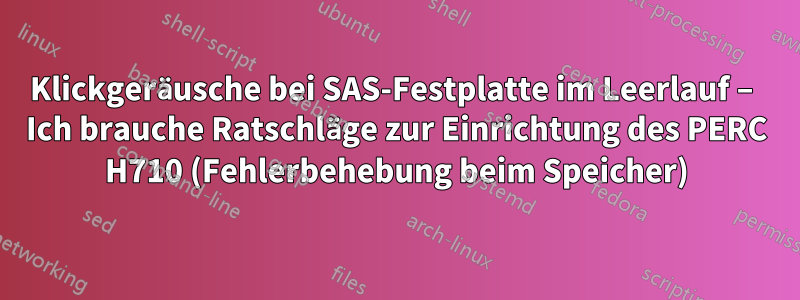 Klickgeräusche bei SAS-Festplatte im Leerlauf – Ich brauche Ratschläge zur Einrichtung des PERC H710 (Fehlerbehebung beim Speicher)