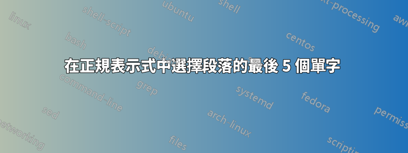 在正規表示式中選擇段落的最後 5 個單字
