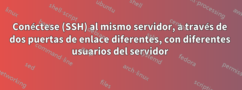 Conéctese (SSH) al mismo servidor, a través de dos puertas de enlace diferentes, con diferentes usuarios del servidor