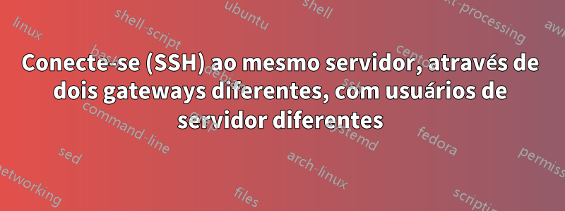 Conecte-se (SSH) ao mesmo servidor, através de dois gateways diferentes, com usuários de servidor diferentes