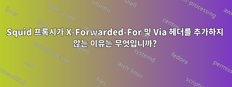 Squid 프록시가 X-Forwarded-For 및 Via 헤더를 추가하지 않는 이유는 무엇입니까?