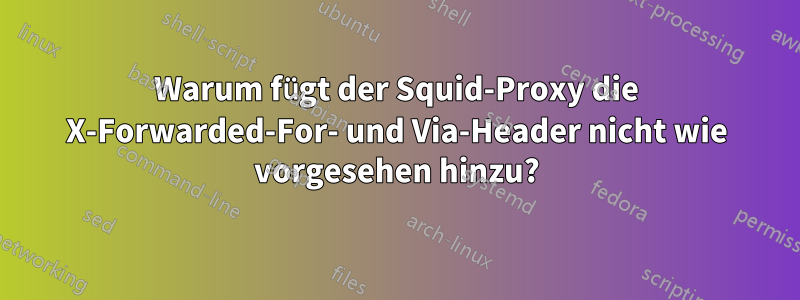 Warum fügt der Squid-Proxy die X-Forwarded-For- und Via-Header nicht wie vorgesehen hinzu?