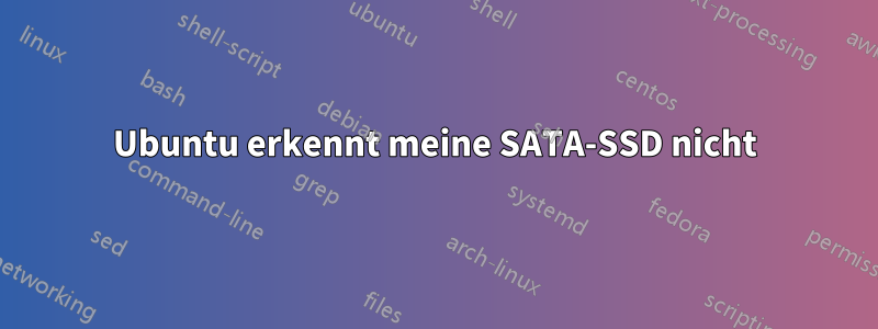 Ubuntu erkennt meine SATA-SSD nicht