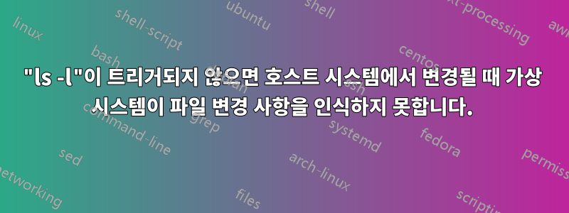 "ls -l"이 트리거되지 않으면 호스트 시스템에서 변경될 때 가상 시스템이 파일 변경 사항을 인식하지 못합니다.