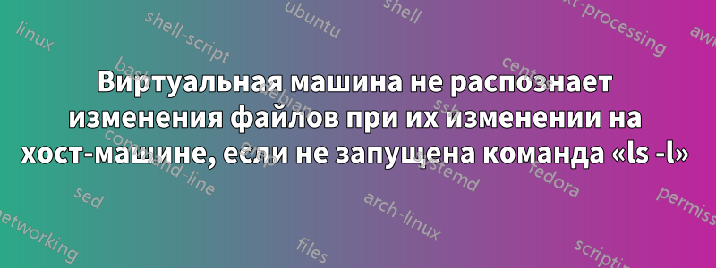 Виртуальная машина не распознает изменения файлов при их изменении на хост-машине, если не запущена команда «ls -l»