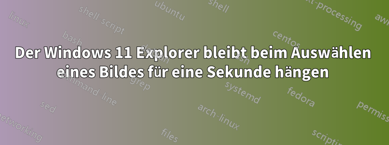 Der Windows 11 Explorer bleibt beim Auswählen eines Bildes für eine Sekunde hängen