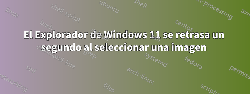 El Explorador de Windows 11 se retrasa un segundo al seleccionar una imagen