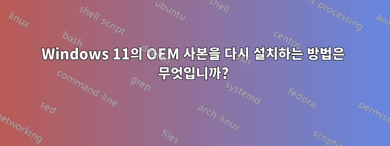 Windows 11의 OEM 사본을 다시 설치하는 방법은 무엇입니까?