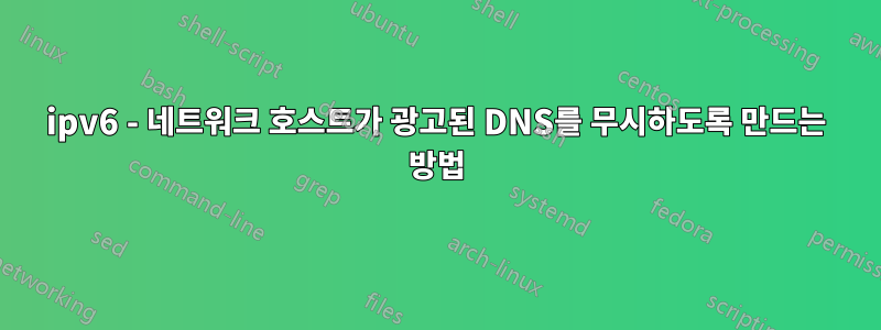 ipv6 - 네트워크 호스트가 광고된 DNS를 무시하도록 만드는 방법