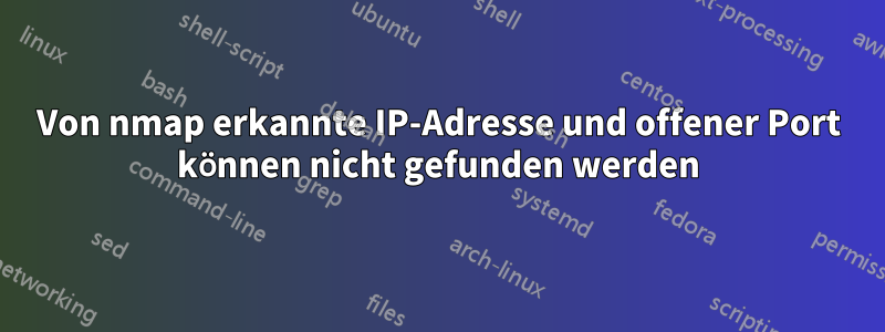 Von nmap erkannte IP-Adresse und offener Port können nicht gefunden werden