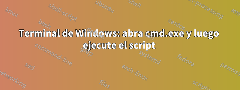 Terminal de Windows: abra cmd.exe y luego ejecute el script