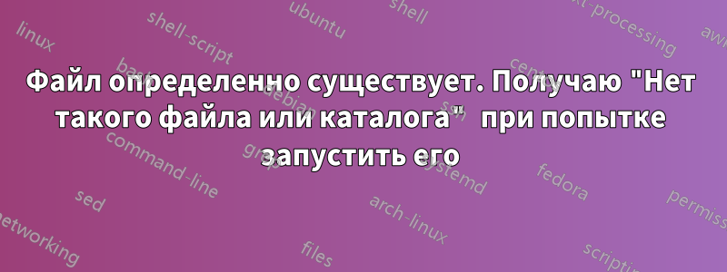 Файл определенно существует. Получаю "Нет такого файла или каталога" при попытке запустить его