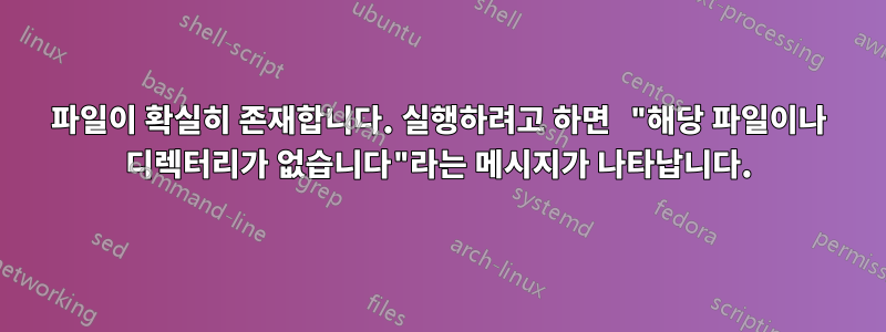 파일이 확실히 존재합니다. 실행하려고 하면 "해당 파일이나 디렉터리가 없습니다"라는 메시지가 나타납니다.