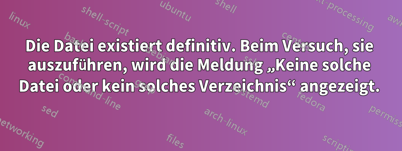 Die Datei existiert definitiv. Beim Versuch, sie auszuführen, wird die Meldung „Keine solche Datei oder kein solches Verzeichnis“ angezeigt.