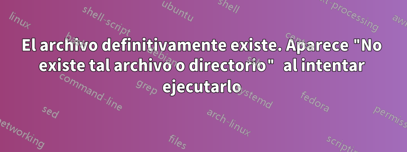 El archivo definitivamente existe. Aparece "No existe tal archivo o directorio" al intentar ejecutarlo