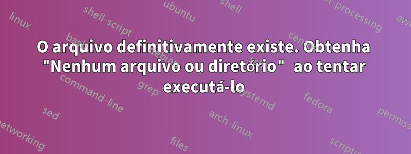 O arquivo definitivamente existe. Obtenha "Nenhum arquivo ou diretório" ao tentar executá-lo