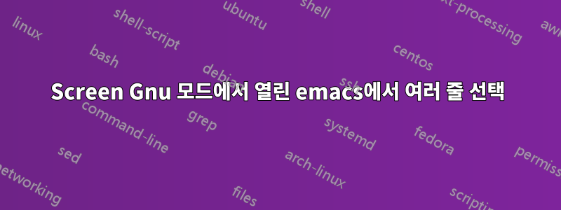 Screen Gnu 모드에서 열린 emacs에서 여러 줄 선택