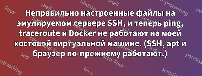 Неправильно настроенные файлы на эмулируемом сервере SSH, и теперь ping, traceroute и Docker не работают на моей хостовой виртуальной машине. (SSH, apt и браузер по-прежнему работают.)