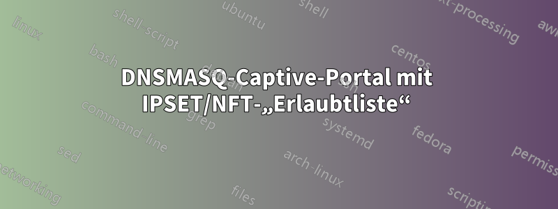 DNSMASQ-Captive-Portal mit IPSET/NFT-„Erlaubtliste“