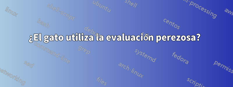 ¿El gato utiliza la evaluación perezosa? 