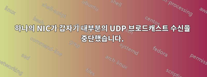 하나의 NIC가 갑자기 대부분의 UDP 브로드캐스트 수신을 중단했습니다.