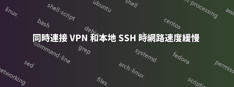 同時連接 VPN 和本地 SSH 時網路速度緩慢