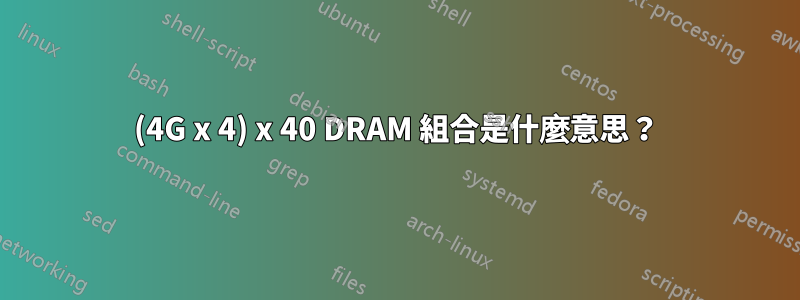 (4G x 4) x 40 DRAM 組合是什麼意思？