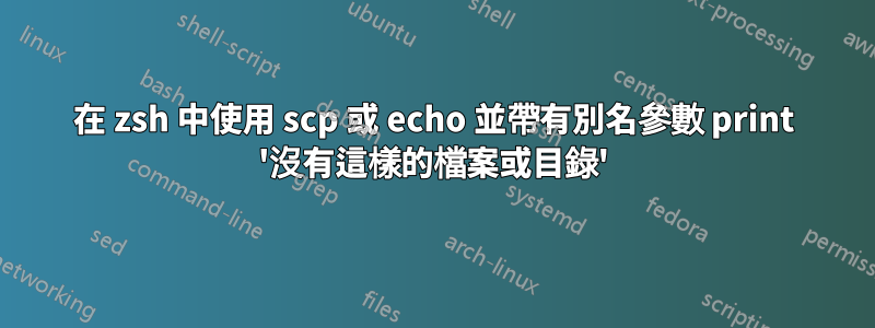 在 zsh 中使用 scp 或 echo 並帶有別名參數 print '沒有這樣的檔案或目錄'