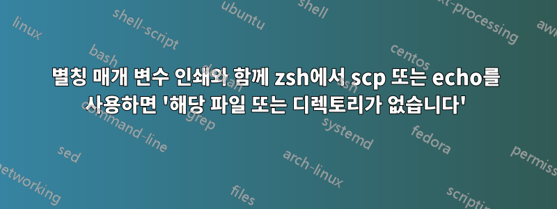 별칭 매개 변수 인쇄와 함께 zsh에서 scp 또는 echo를 사용하면 '해당 파일 또는 디렉토리가 없습니다'