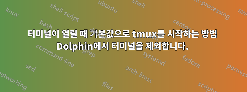 터미널이 열릴 때 기본값으로 tmux를 시작하는 방법 Dolphin에서 터미널을 제외합니다.