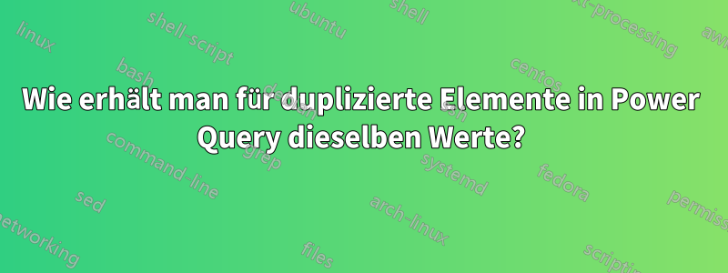 Wie erhält man für duplizierte Elemente in Power Query dieselben Werte?