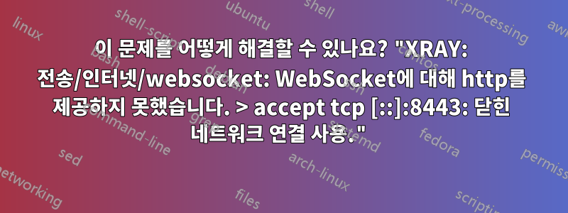 이 문제를 어떻게 해결할 수 있나요? "XRAY: 전송/인터넷/websocket: WebSocket에 대해 http를 제공하지 못했습니다. > accept tcp [::]:8443: 닫힌 네트워크 연결 사용."