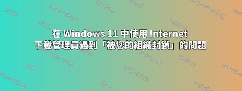 在 Windows 11 中使用 Internet 下載管理員遇到「被您的組織封鎖」的問題