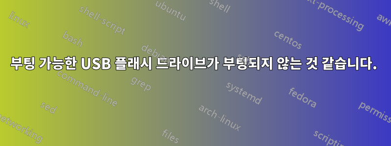 부팅 가능한 USB 플래시 드라이브가 부팅되지 않는 것 같습니다.