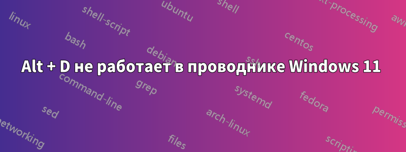 Alt + D не работает в проводнике Windows 11