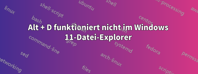 Alt + D funktioniert nicht im Windows 11-Datei-Explorer