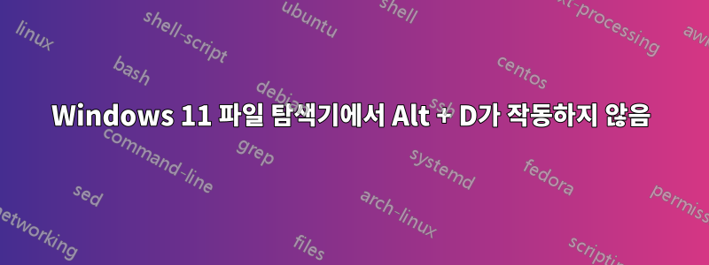 Windows 11 파일 탐색기에서 Alt + D가 작동하지 않음