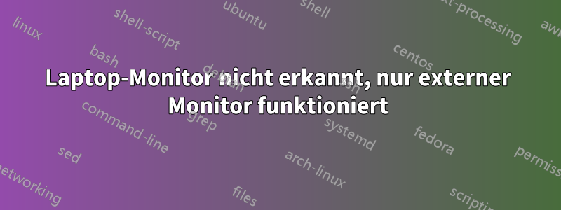 Laptop-Monitor nicht erkannt, nur externer Monitor funktioniert