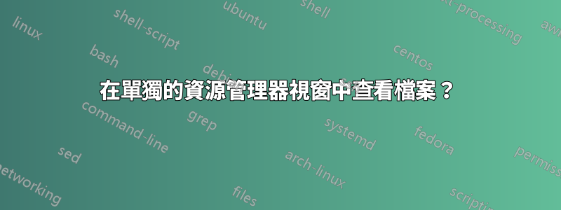 在單獨的資源管理器視窗中查看檔案？