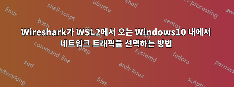 Wireshark가 WSL2에서 오는 Windows10 내에서 네트워크 트래픽을 선택하는 방법