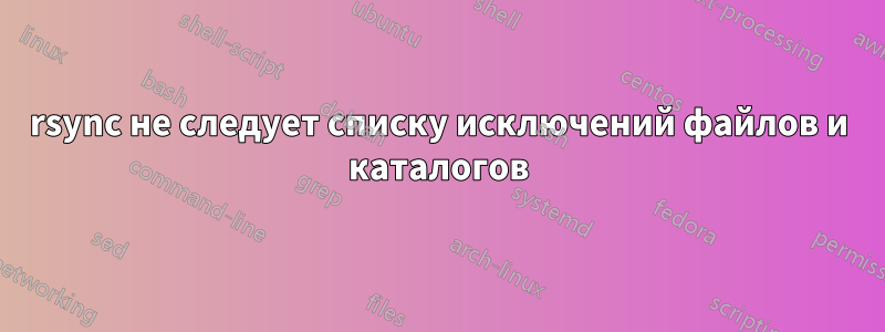 rsync не следует списку исключений файлов и каталогов