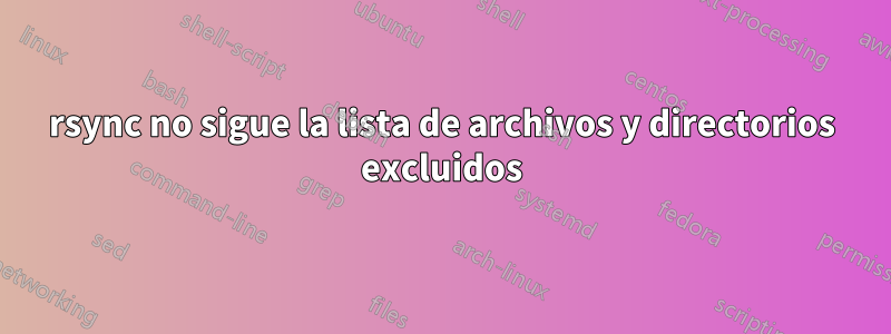 rsync no sigue la lista de archivos y directorios excluidos