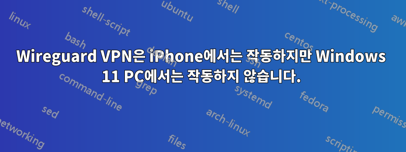 Wireguard VPN은 iPhone에서는 작동하지만 Windows 11 PC에서는 작동하지 않습니다.