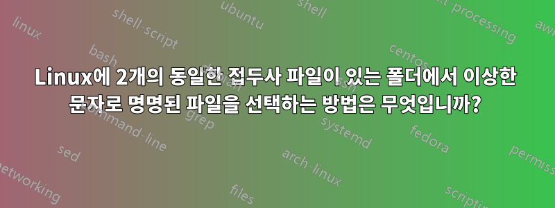 Linux에 2개의 동일한 접두사 파일이 있는 폴더에서 이상한 문자로 명명된 파일을 선택하는 방법은 무엇입니까?