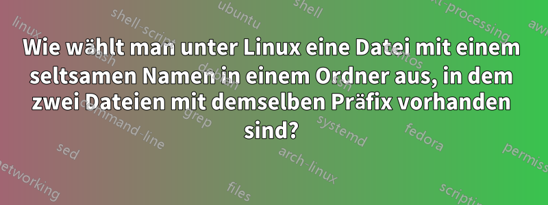 Wie wählt man unter Linux eine Datei mit einem seltsamen Namen in einem Ordner aus, in dem zwei Dateien mit demselben Präfix vorhanden sind?