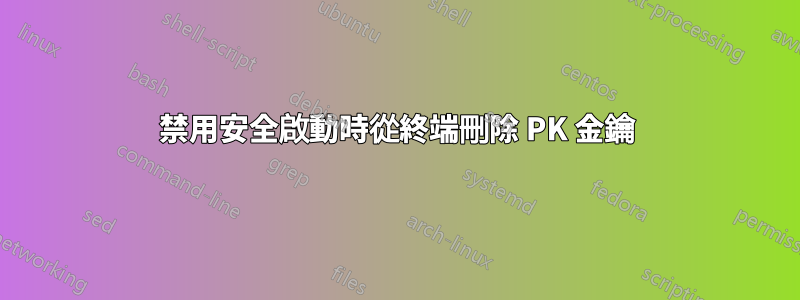 禁用安全啟動時從終端刪除 PK 金鑰