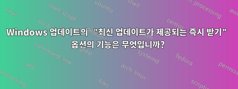 Windows 업데이트의 "최신 업데이트가 제공되는 즉시 받기" 옵션의 기능은 무엇입니까?